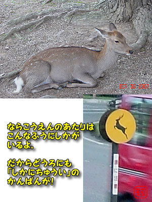 けいこかふぇ　奈良公園の鹿