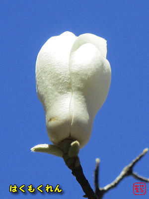 �n�N���N����