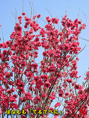 �n�i����