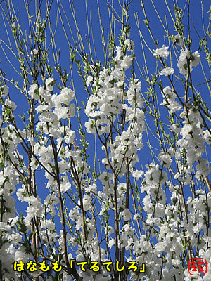 �n�i����