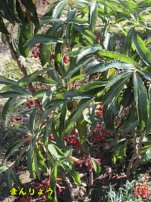 �}�������E