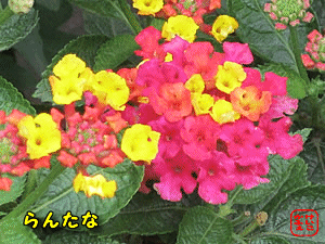 �����^�i