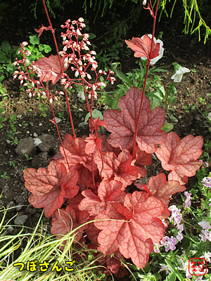 �c�{�T���S