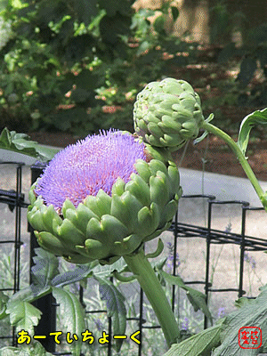 �A�[�e�B�`���[�N