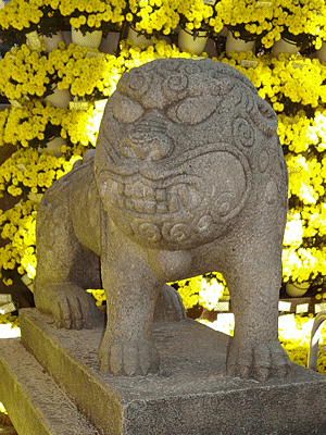 けいこかふぇです！　韓国　ソウル　曹渓寺の狛犬